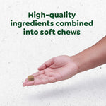 Greenies Supplements Digestive Health Probiotics for Dogs, Dog Probiotic Supplements, Chicken Flavor, 15.6 oz. Pouch of 80 Count - Image 12