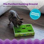 Cat resting on the faux grass lounge top of the toy