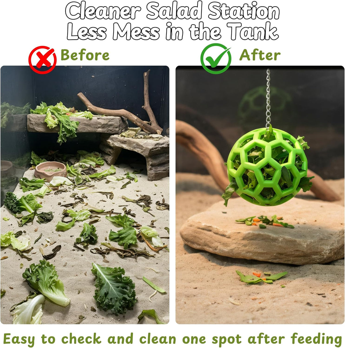 Reptile greens training kit packaged view highlighting the authentic Homedy Crafts branding and product pieces