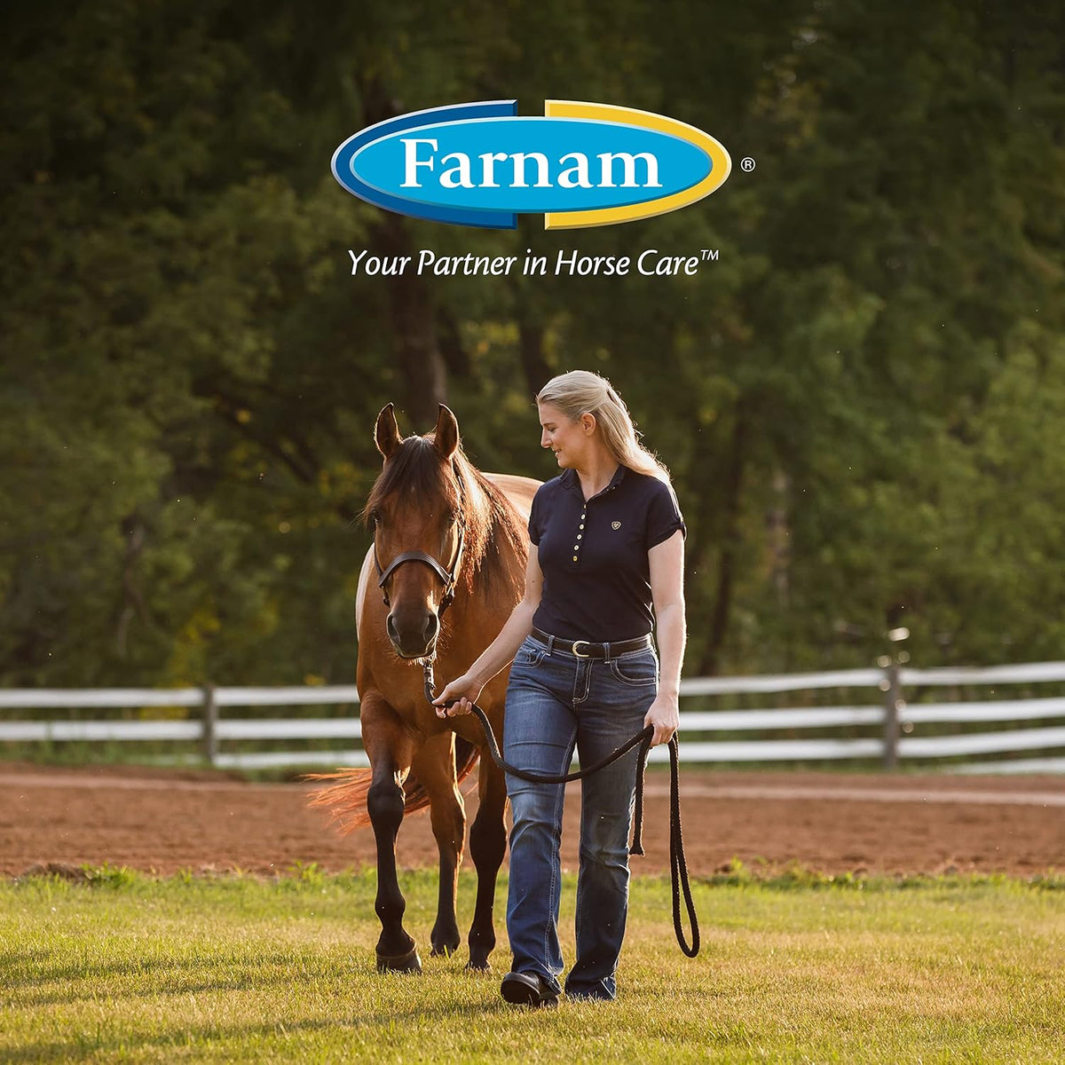 Farnam imported pet fly repellent bottle showing compact travel friendly size.