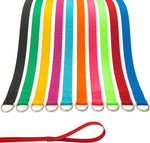 Aticnech slip lead dog leash ten pieces pack front view showcase