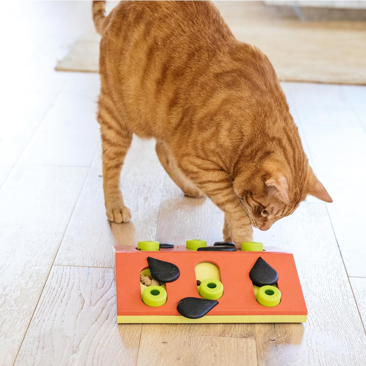 Catstages durable food safe cat puzzle toy overview