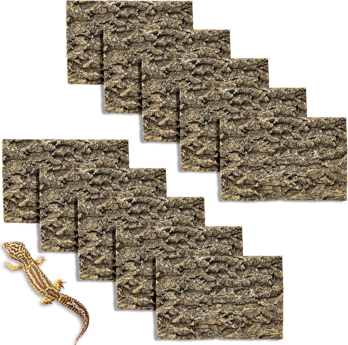 Gecko climbing on Fhiny natural cork bark background