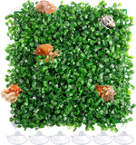 Orchidleaf hermit crab climbing toy front view 10x10 inch