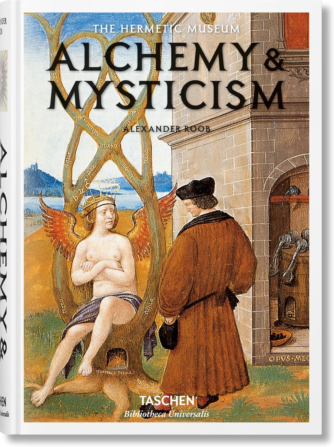 Alchemy & Mysticism (Hermetic Museum) - Image 1