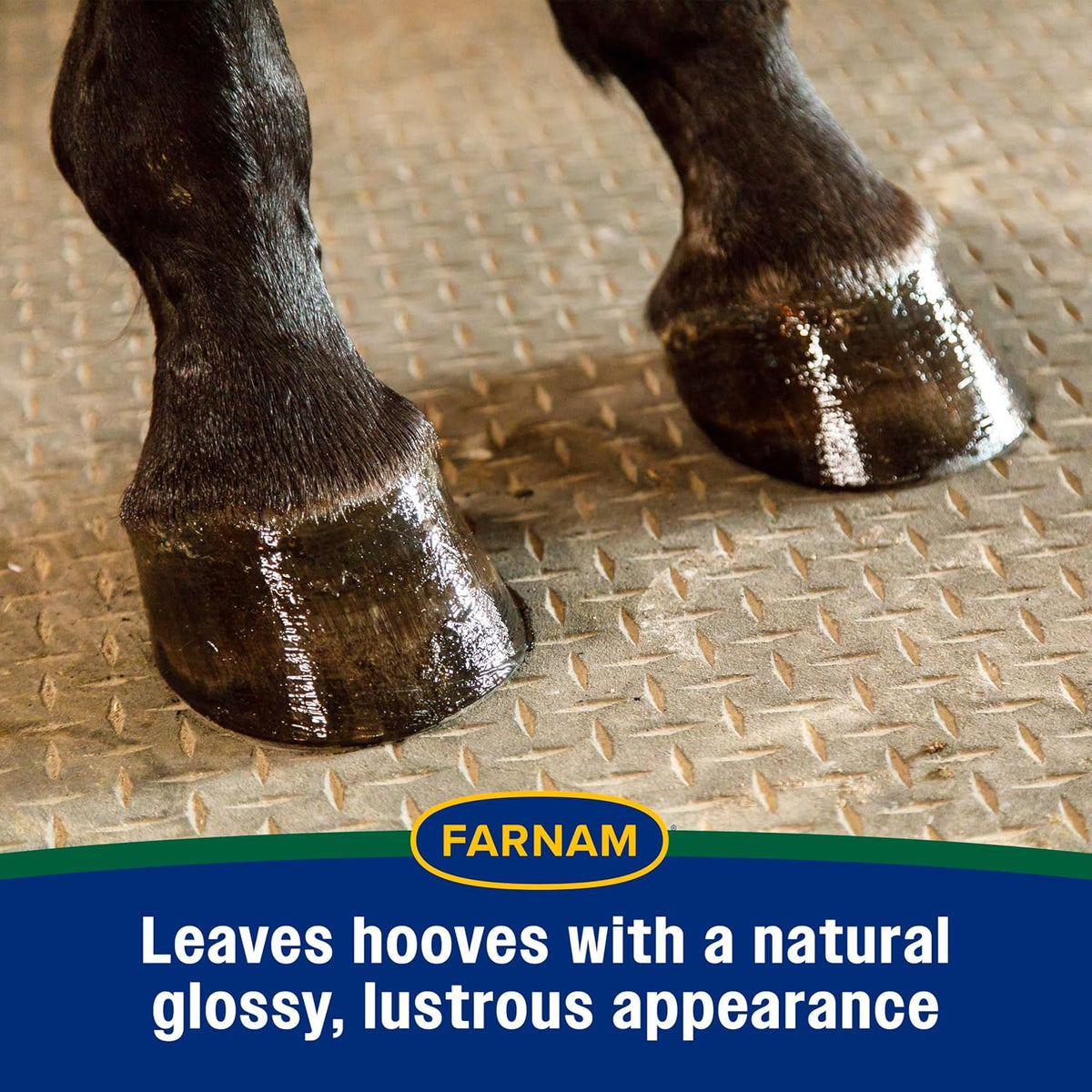 Authentic USA imported equine care product for treating splits and contracted heels in horses.
