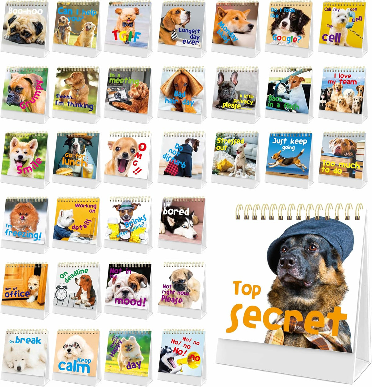 Gethelud 40 Pages Funny Desk Sign, Desktop Flip Book 34 Different Fun and Flip-Over Messages Plus 6 Pages Erasable Blank Cards for Office Gifts Desk Accessories - Image 10