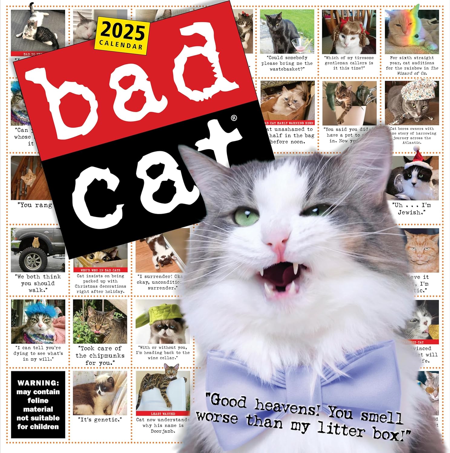 Bad Cat Wall Calendar 2025: Celebrating the Misfits of the Feline World - Image 1