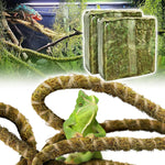 Reptile tank interior featuring multiple loops of bendable climbing vine