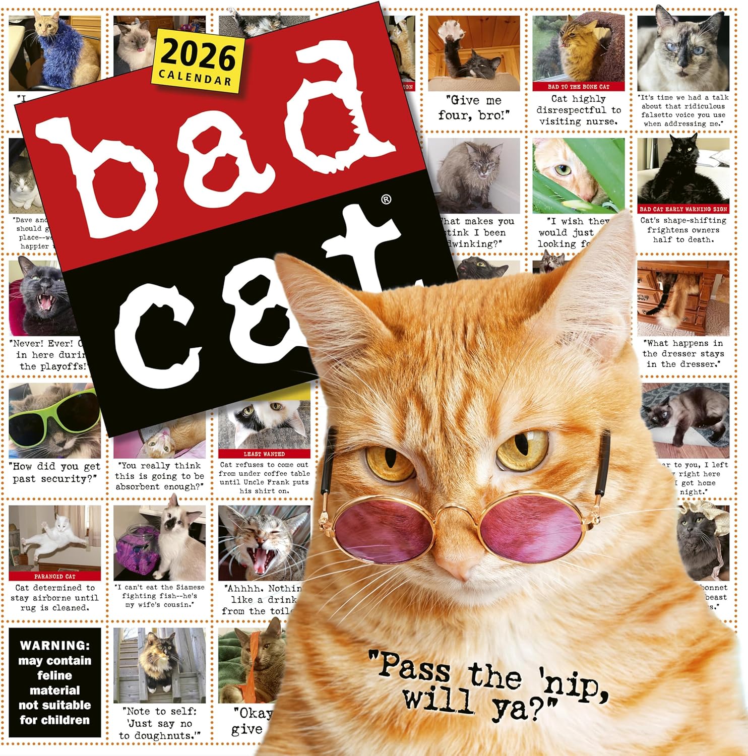 Bad Cat Wall Calendar 2026: Celebrating the Misfits of the Feline World - Image 1