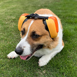 Deryep Dog Earmuffs packed in waterproof EVA case