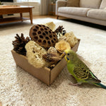 PINEPOP bird enrichment toy box being placed inside a large bird cage.