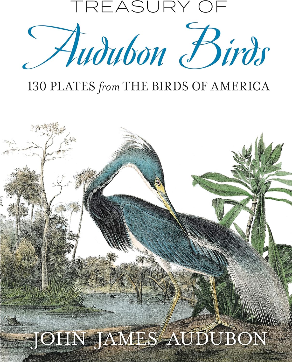 Treasury of Audubon Birds: 130 Plates from The Birds of America - Image 1