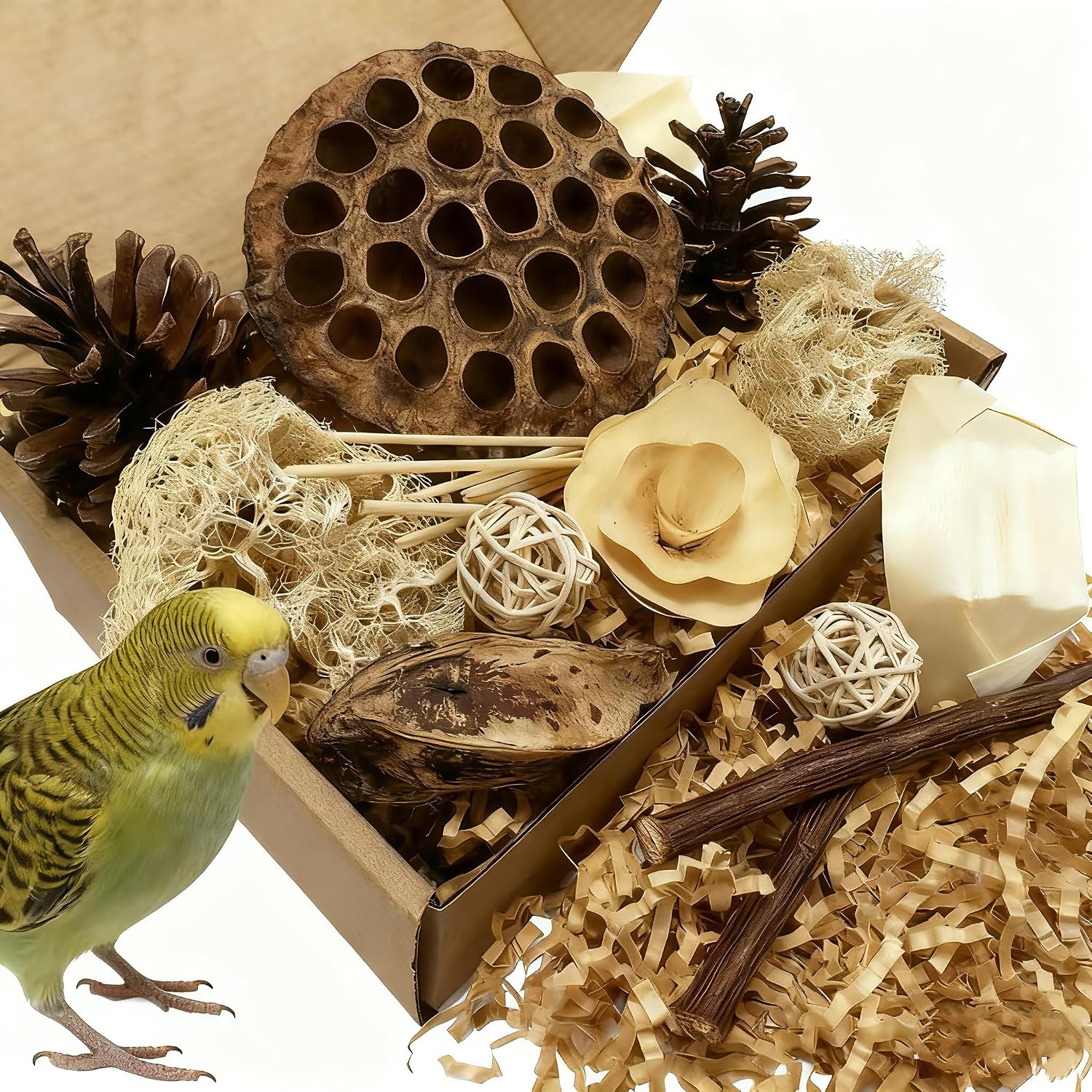 PINEPOP Lotus Pod Foraging Box front view showcasing natural bird shredding ingredients.
