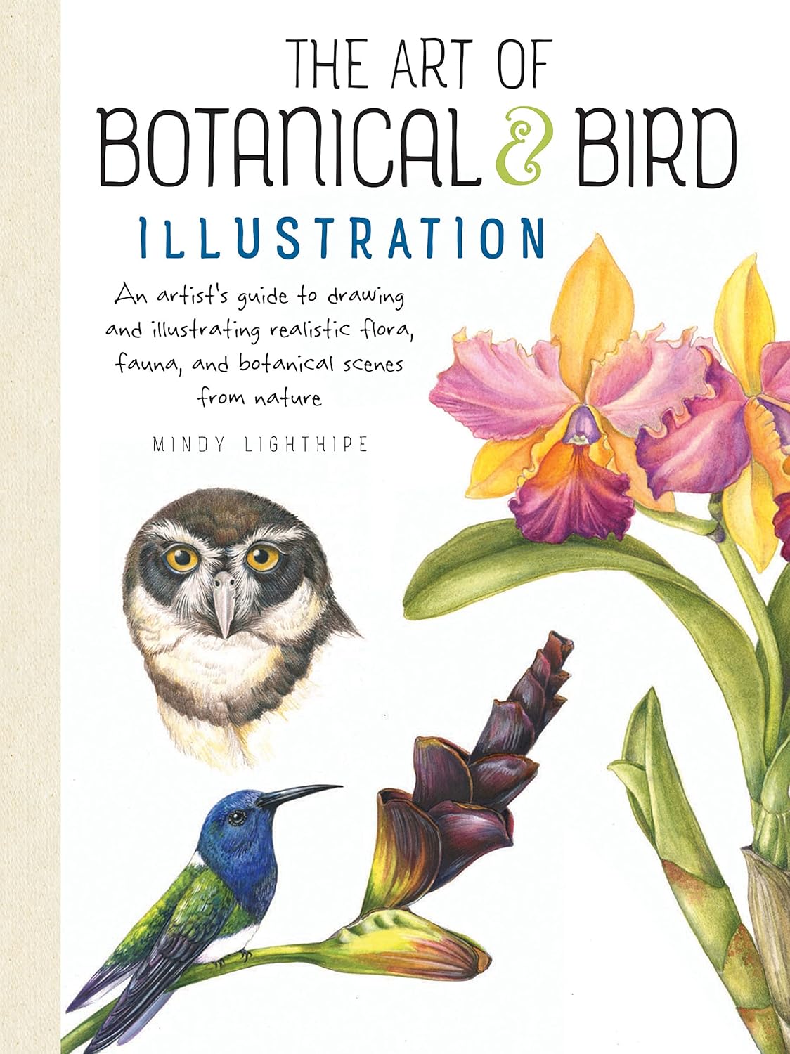 Mindy Lighthipe Art of Botanical and Bird Illustration book cover showing realistic nature drawing guide