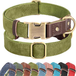 Packaging of imported Didog small dog leather collar