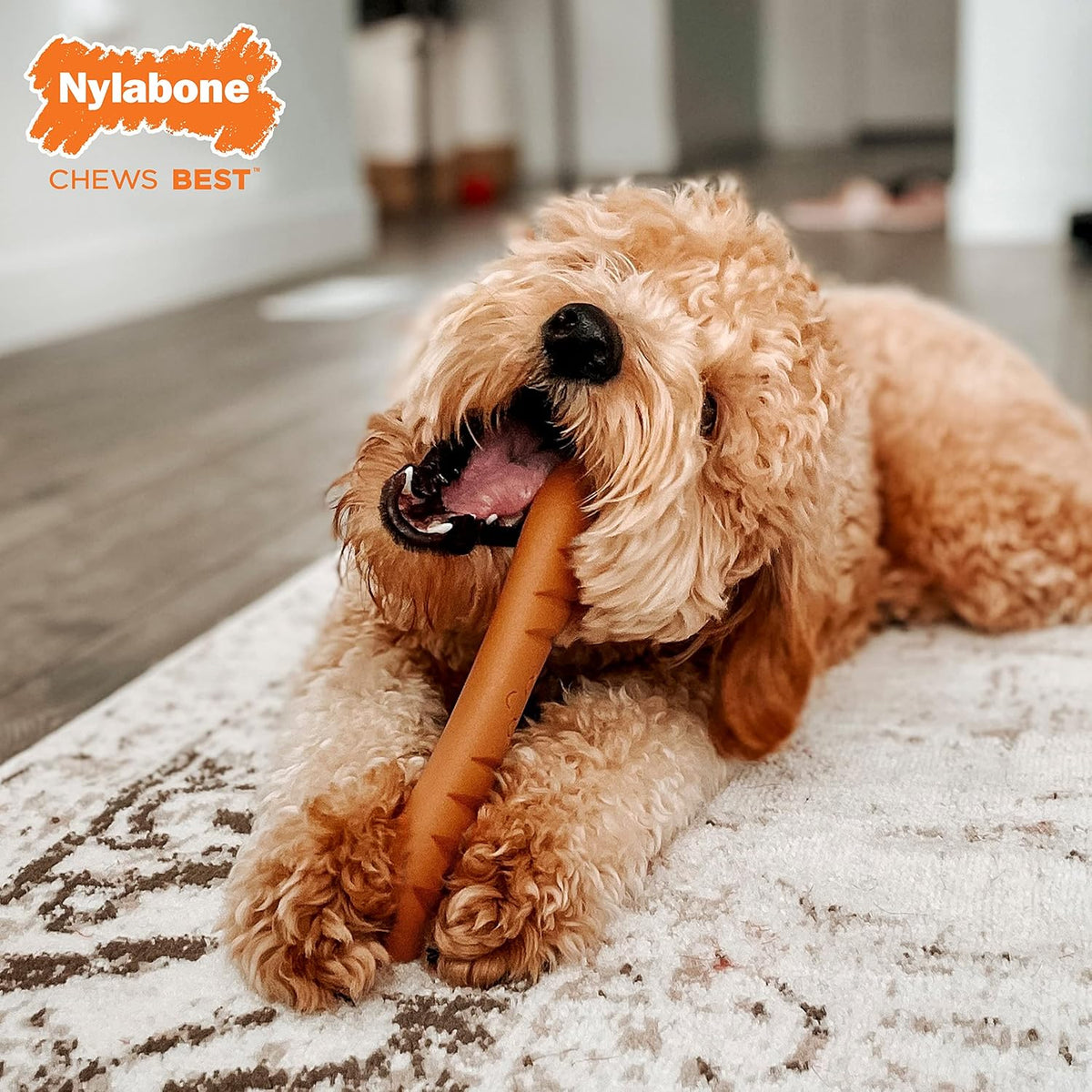 Nylabone chew toy dental grooves feature