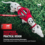 Durable neoprene and silicone leash sleeve attached to training lead