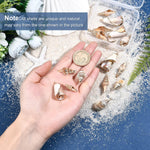 SUNNYCLUE golden loop bail seashell pendants close up