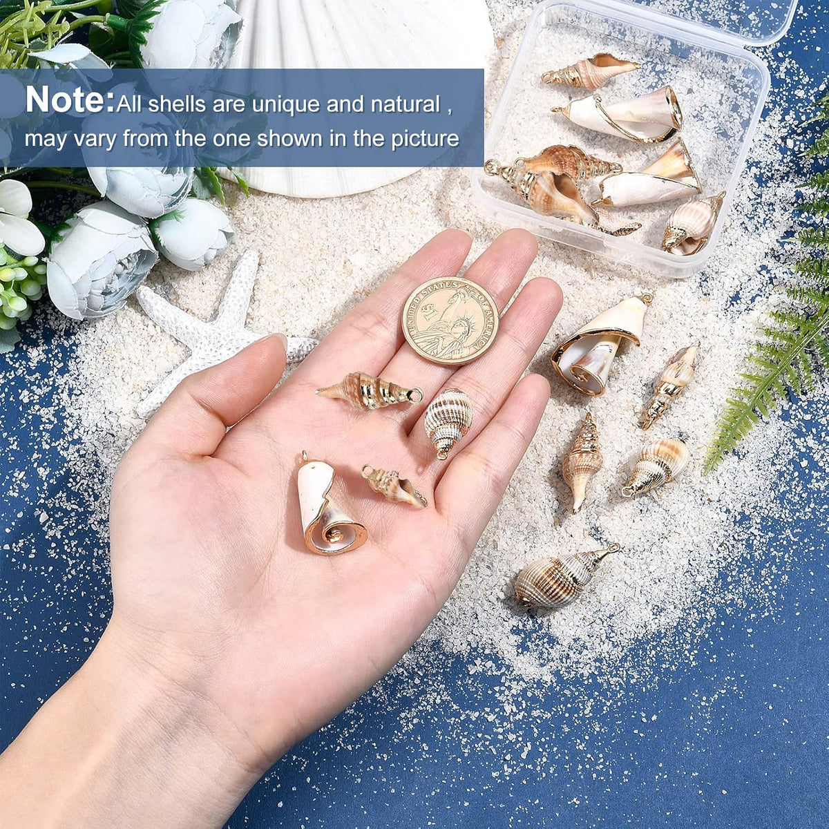 SUNNYCLUE golden loop bail seashell pendants close up