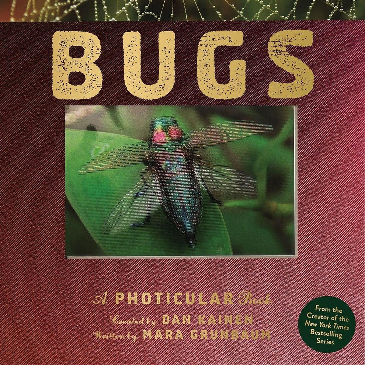 Bugs: A Photicular Book - Image 1