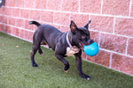 Jolly Pets 8 inch floating dog soccer ball showing texture