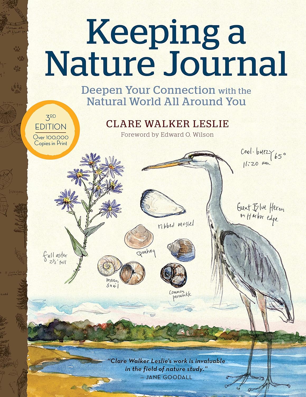 Keeping a Nature Journal, 3rd Edition: Deepen Your Connection with the Natural World All Around You - Image 1