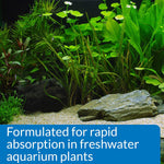 Freshwater aquarium plants thriving with API plant fertilizer