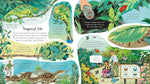 Minna Lacey Look Inside a Zoo open pages with lift-the-flaps