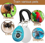 Chadou training clicker with attached black coiled wrist strap