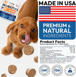 Healthy dog happy with Petsology digestive supplement