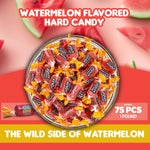 Authentic USA imported Candylish watermelon candy bag