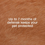 Adams flea and tick collar 7 month prevention label