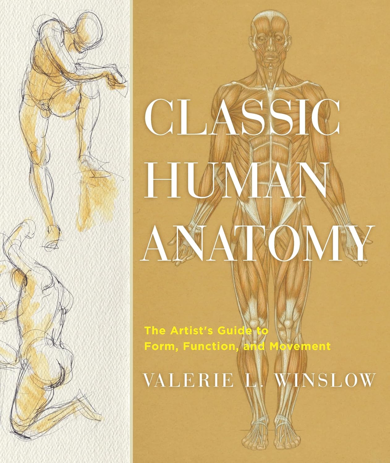 Classic Human Anatomy: The Artist's Guide to Form, Function, and Movement - Image 1