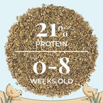 Healthy chicks with Mile Four organic feed