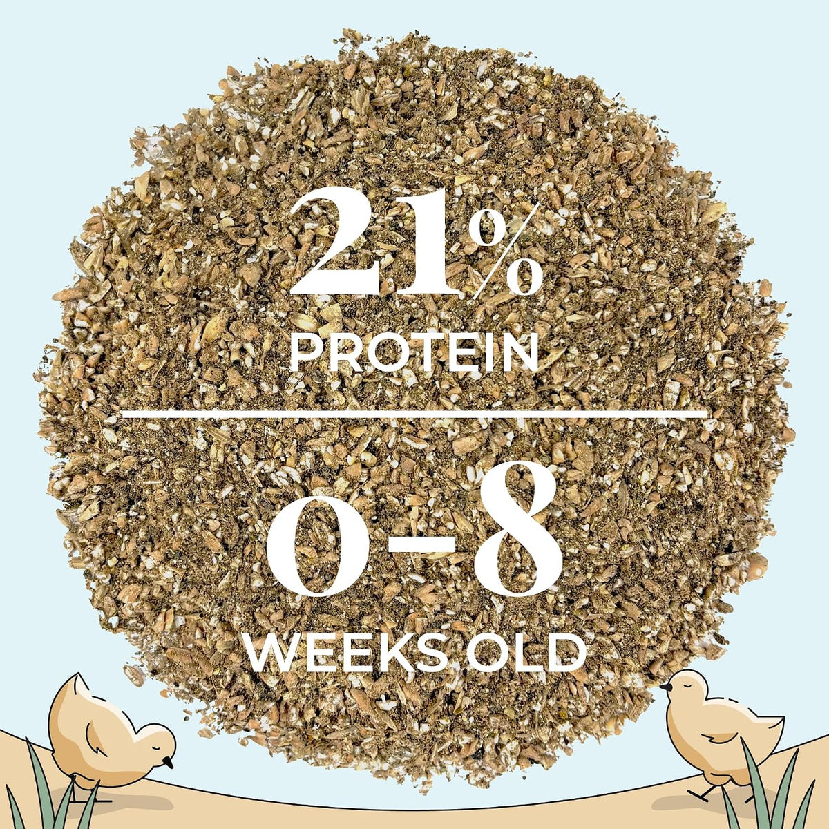 Healthy chicks with Mile Four organic feed
