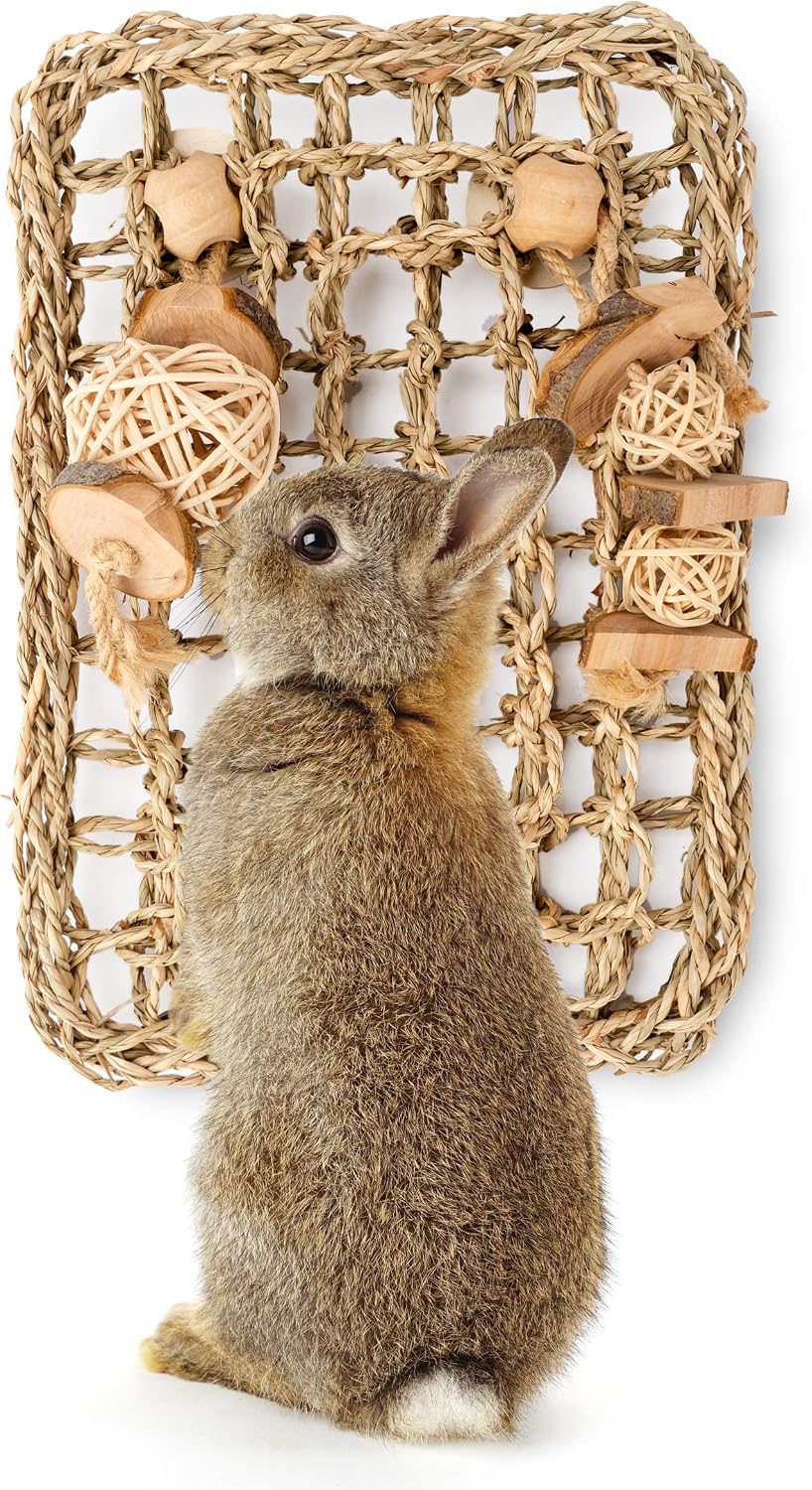 andwe Rabbit Seagrass Protector Mat with Toys (11 X 7.87-inch) - Image 1