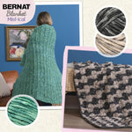 Bernat Mist-ical polyester yarn label and color details