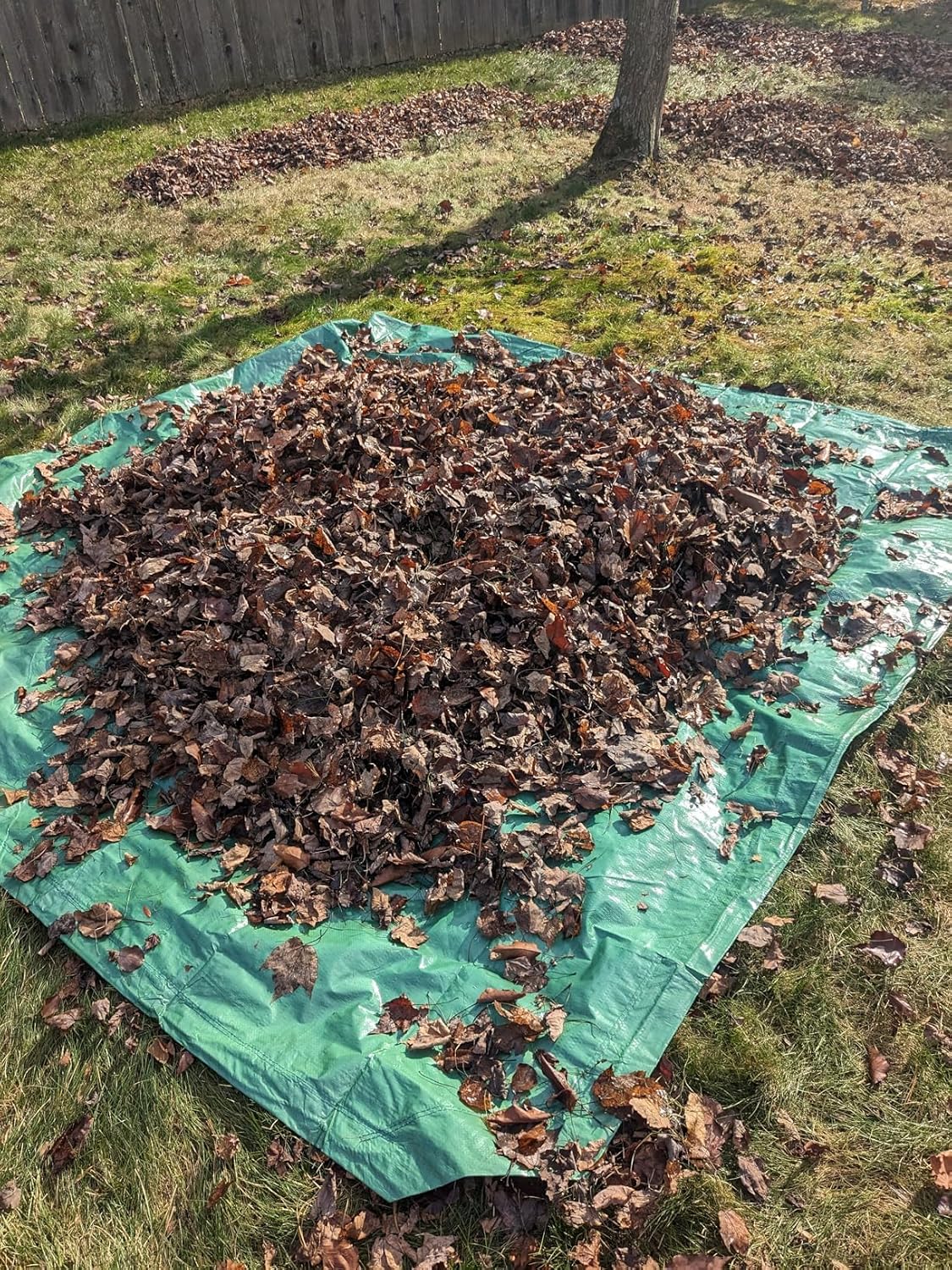 Rocky Mountain Goods 9x9 foot leaf tarp cinched into a carrying bag
