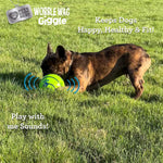 Durable vinyl interactive dog ball toy close up