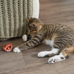 Full set of Petstages interactive cat toy from USA