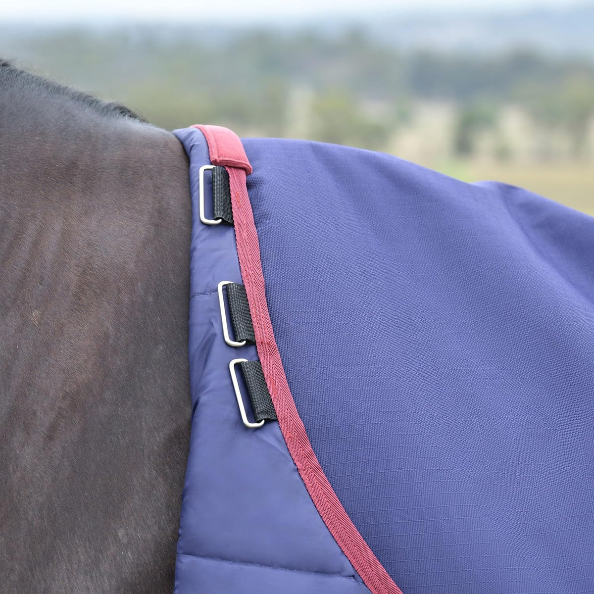 WeatherBeeta eighty four inch horse sheet back view with tail flap protection