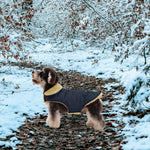 Queenmore pet winter apparel demonstrating adjustable fit