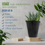 Houseables galvanized pail shown with decorative plant display