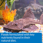 Top view of API Algae Eater Wafers fish food