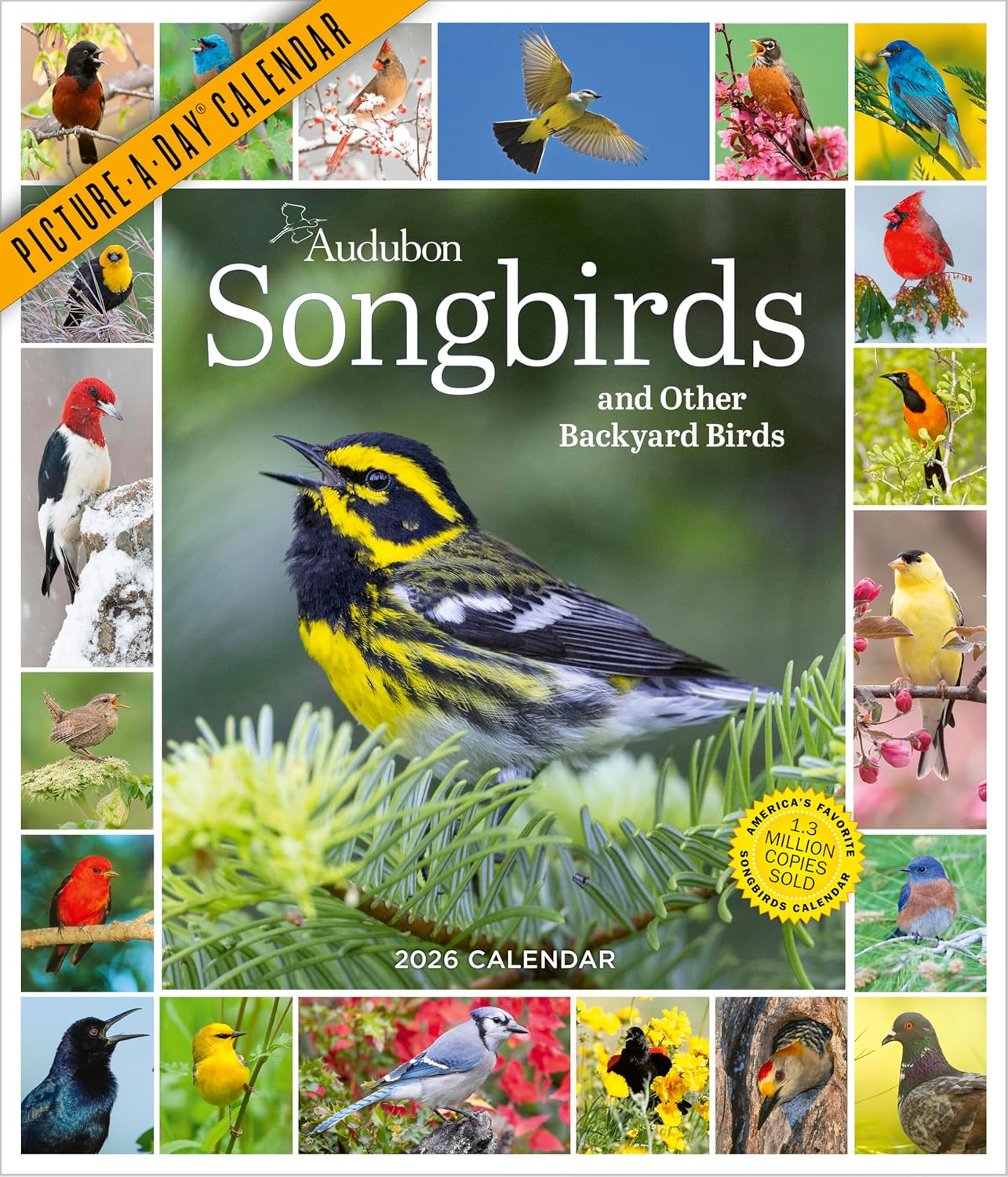 Audubon Songbirds And Other Backyard Birds Picture-A-DayÂ® Wall Calendar 2026 - Image 1