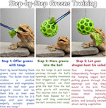 Bearded dragon interactive feeding kit suction cup assembly demonstrating secure mounting on a glass tank wall