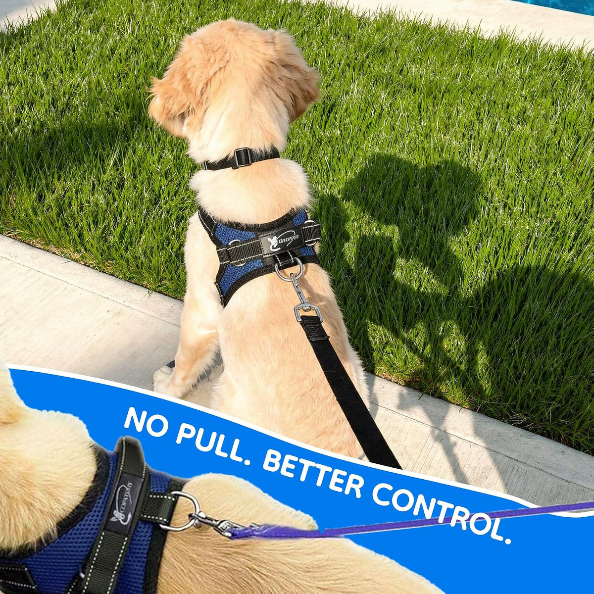 Quick release buckle detail on Copatchy pet harness