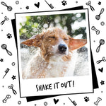 Bugalugs professional vegan pet shampoo with colloidal oatmeal