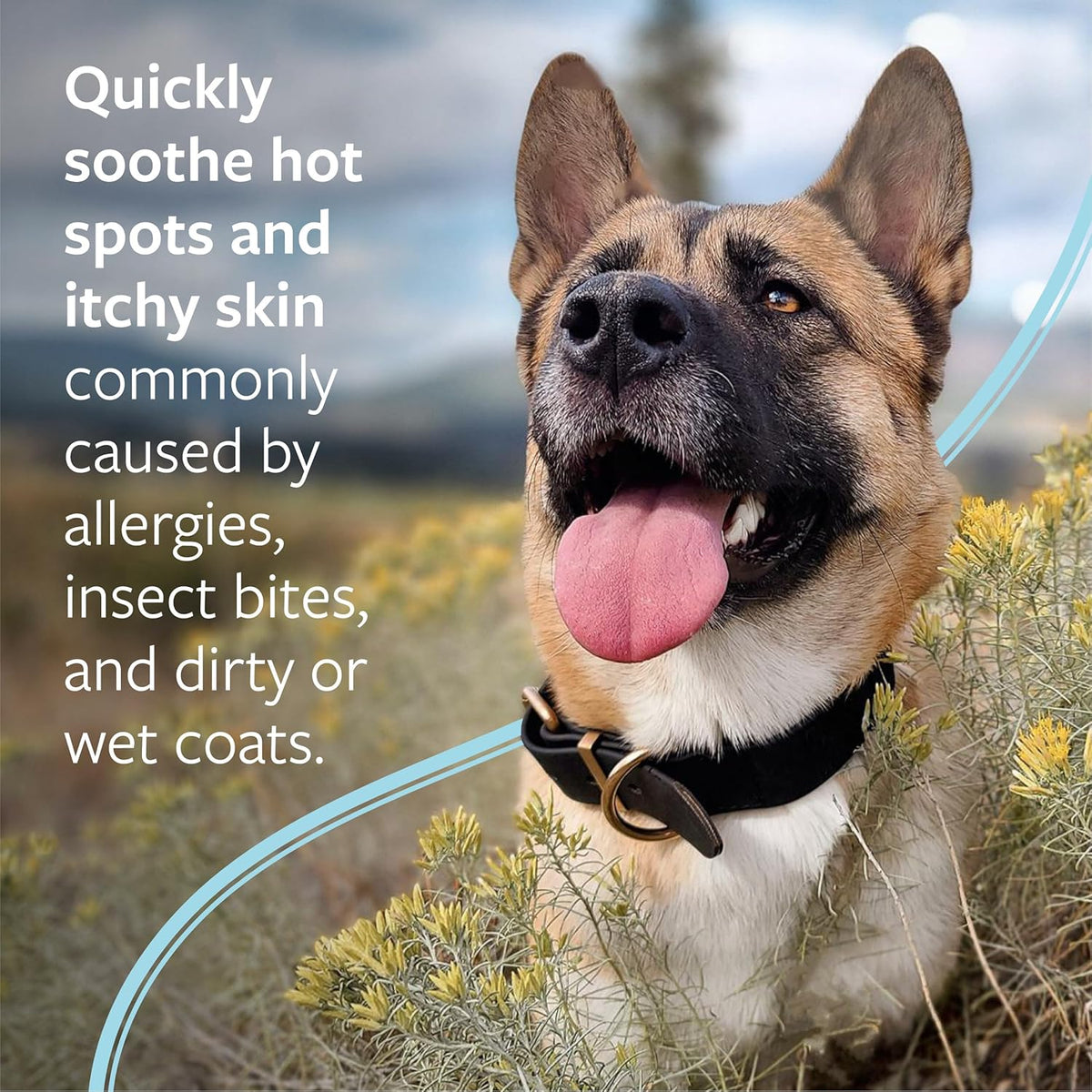 Veterinary Formula clinical care hot spot spray for pets experiencing skin allergies and irritation